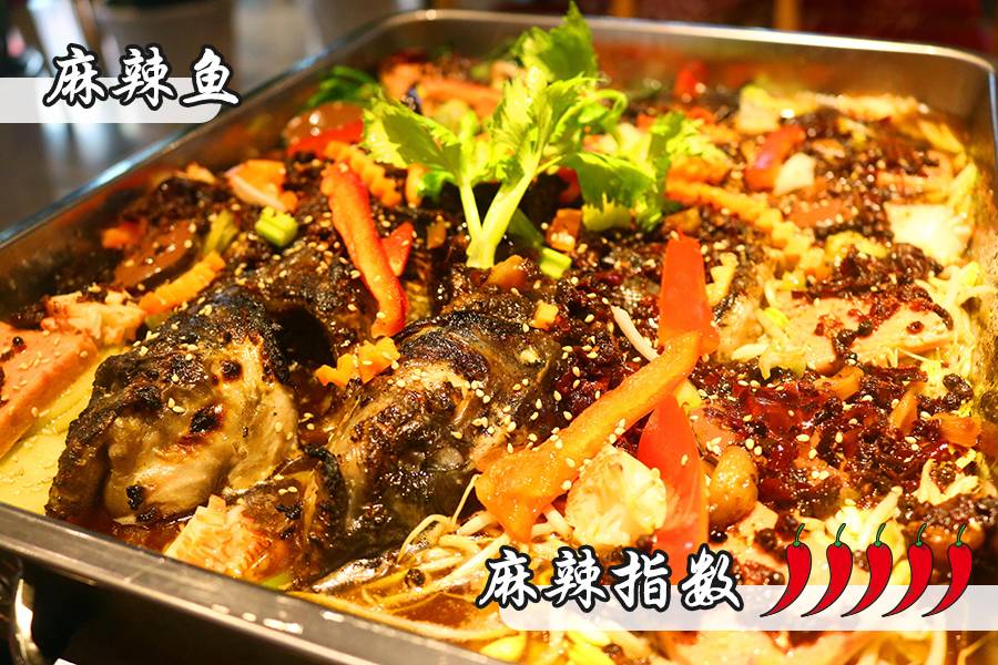 听说你在青岛五行缺鱼，八字欠烤？快来这家店就对了！