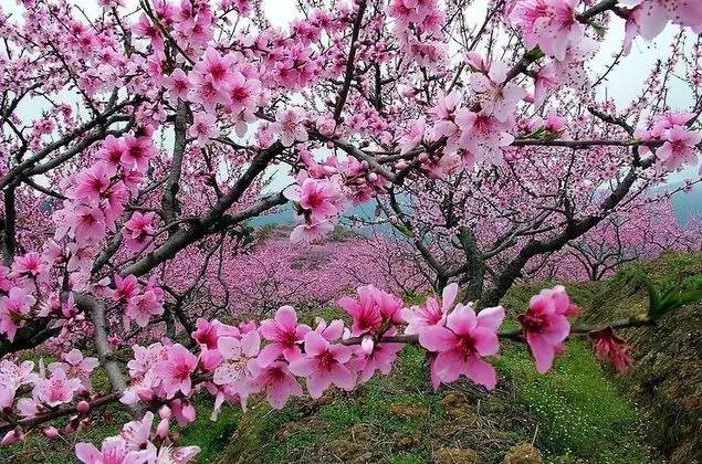 河南南阳新一轮强降雨,暴雨南阳部分地区将迎强对流天气