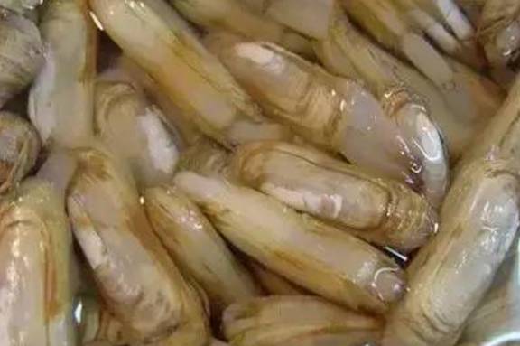 威海赶海攻略,威海冬季赶海攻略