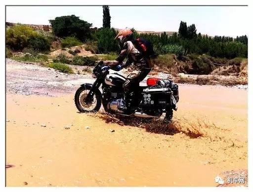 不用百度了，关于“轮胎”的资料基本都在这里了