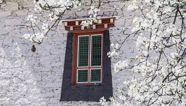 鑹茶揪涓瑰反浣涘浗涔嬫梾4鏃ユ父,涓瑰反鐜嚎4鏃ユ父