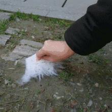 爱妖经｜“网红”还不够，更要实力派