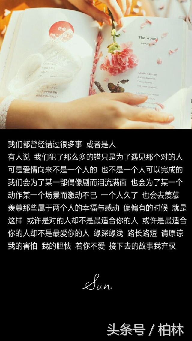 安妮宝贝关于爱情经典语录,安妮宝贝蔷薇岛屿经典语录