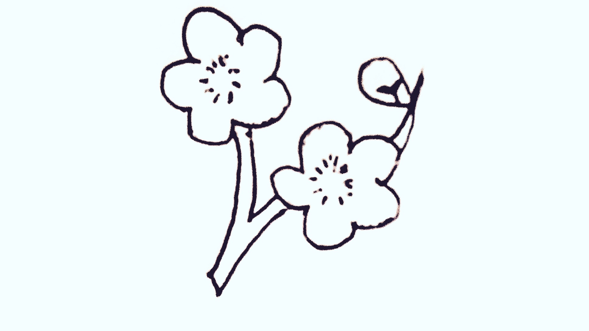 梅花13简笔画简单又漂亮迷你版,梅花画法简笔画