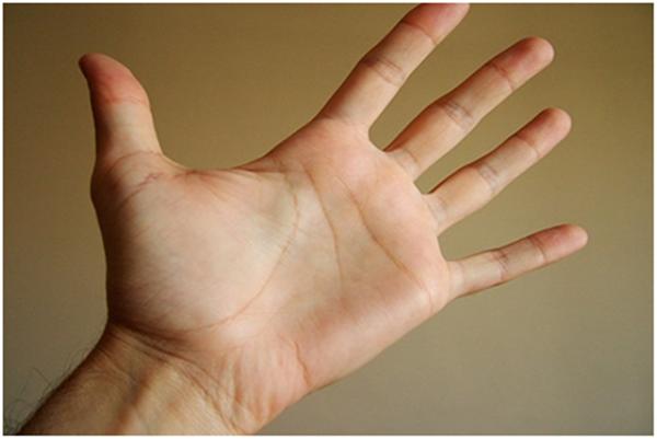 手掌的温度是不是大于脚的温度,手掌的温度来自你心里