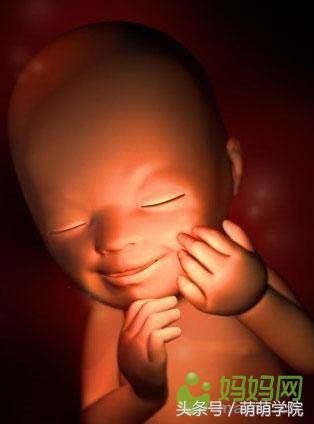 胎儿发育40周全过程b超影像,胎儿1-40周发育过程图高清