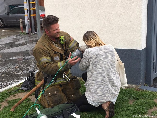 消防狗狗救人吸浓烟后续,狗狗吸入大量浓烟怎么办