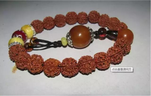 如何分辨金刚肉多还是柴,金刚纹路讲解视频