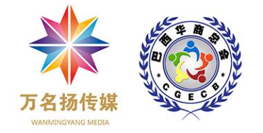 巴西柔术综合格斗,巴西柔术与综合格斗