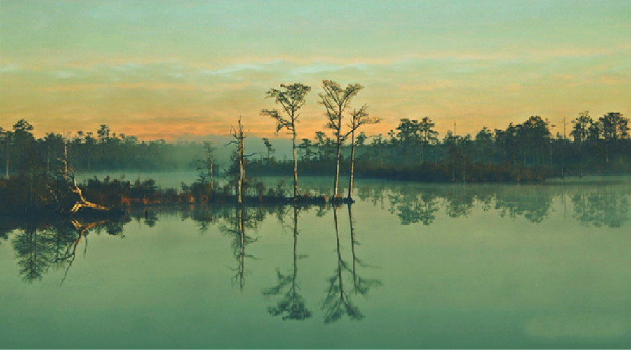 强迫症自我治疗的六大方法,强迫症如何自我疗愈