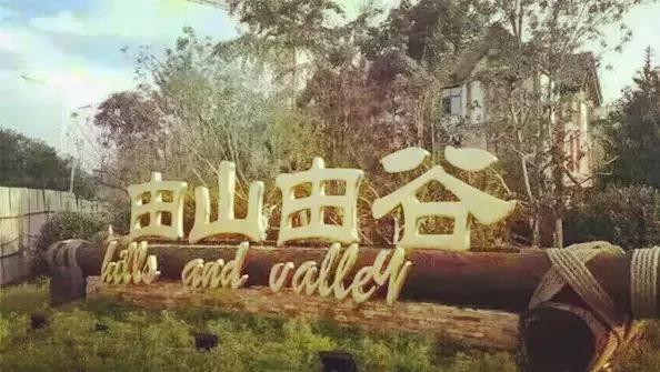 镇兴中国丨广大乡村，才是一块又香又大的肥肉