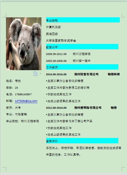 怎么用wps制作免费的简历,wps简历怎么制作