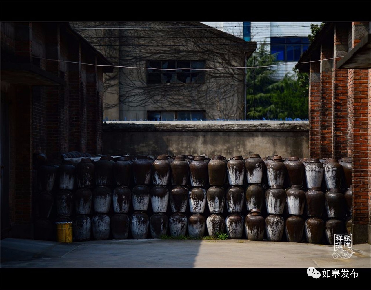 定了!从今天起,如皋白蒲古镇将列入每个人的旅行清单!