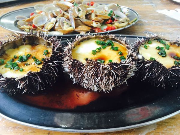 去三亚旅游美食攻略自由行,三亚亲子度假攻略四天三晚嗨翻天