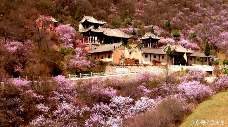 甘肃平凉的平凉话,平凉泾川县话