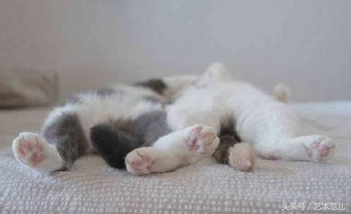 国足赢了教练反应,国足赢了教练的反应