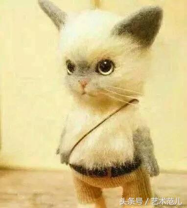 国足赢了教练反应,国足赢了教练的反应