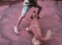 怎么模仿龟派气功,龟派气功瞬间