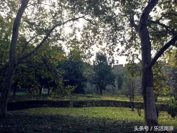 南京免费公园免费开放日一览表,南京最大的公园排名