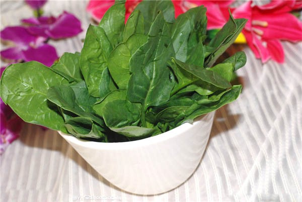 罗汉鱼起头鱼粮,新手养罗汉鱼如何选鱼