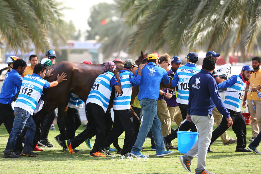 为什么迪拜土豪最有钱,真正的迪拜土豪