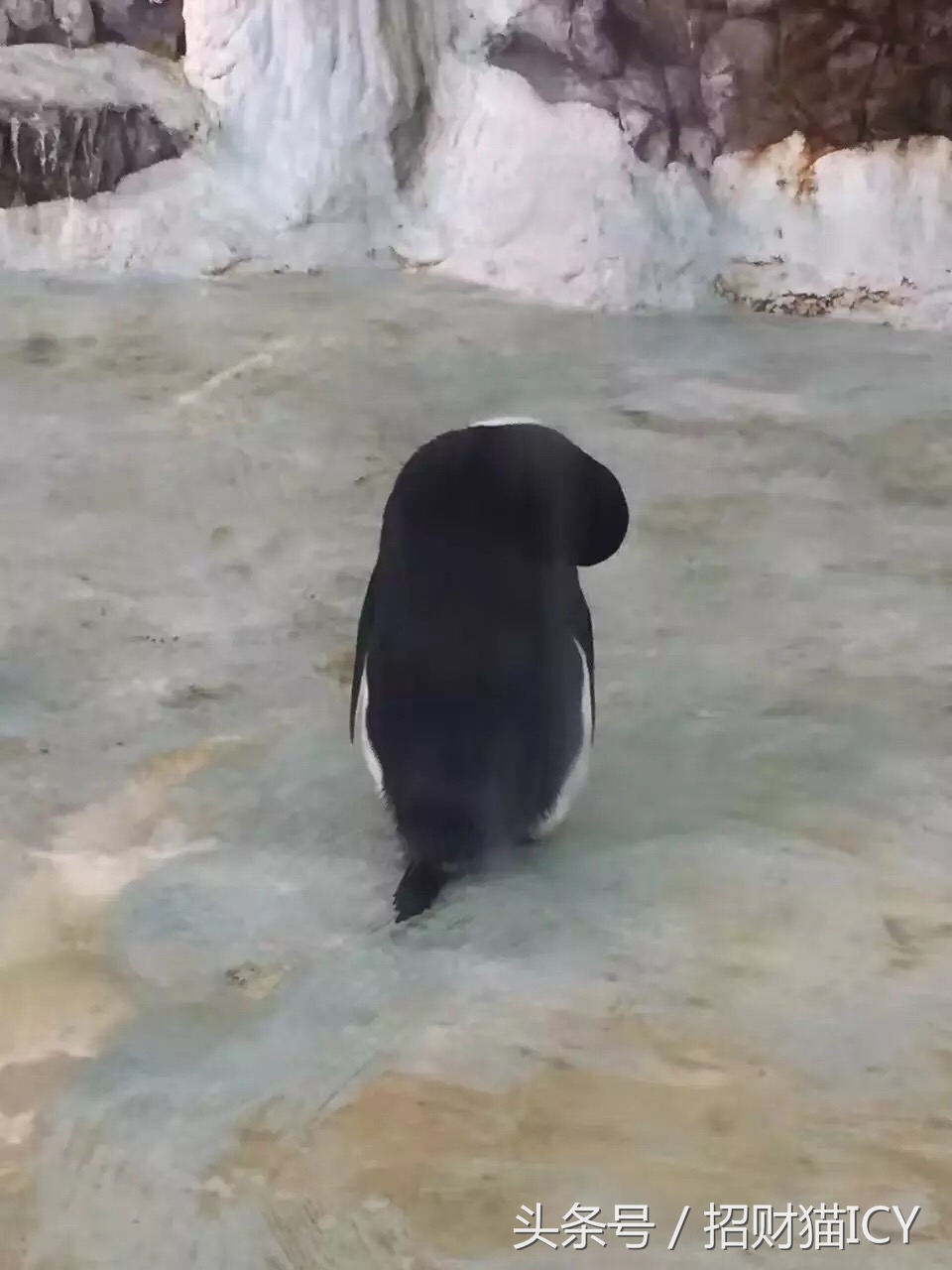 珠海长隆奇幻之旅,广州珠海长隆两天一夜攻略