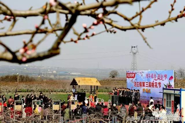 孟津桃花朵朵开，十里芳华等您来！