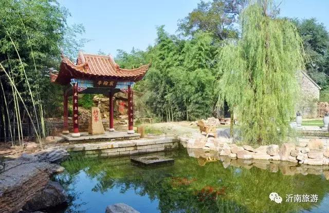 山东沂南秋日花海醉游人,沂南周边看梨花景点