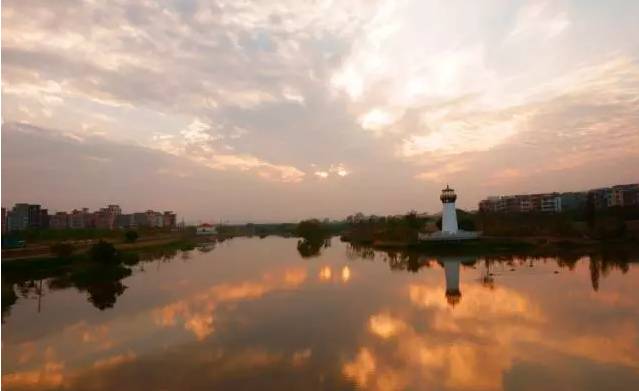 广州适合2月份去的湿地公园,假期旅游去哪里这里风景很迷人