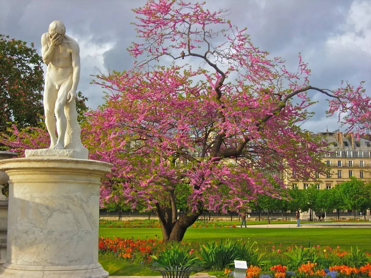 情迷巴黎小说完整版,情迷巴黎完整版电影