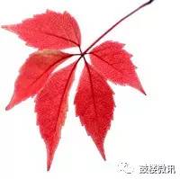 社区书记参加培训班的心得体会,全国社区书记主任培训心得体会