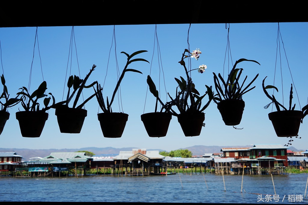 用逃遁的方法，探索“亚洲的隐士”