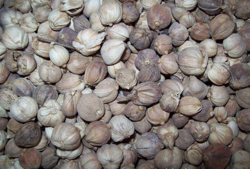 厨房里的东西能做什么吃的,厨房里的四种东西要少吃