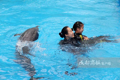 海豚自闭症儿童,自闭症儿童海豚疗法