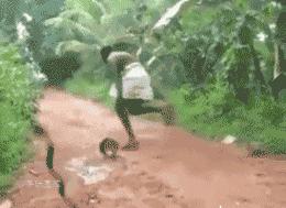 被*蛇钻毒**进裤裆里差点一发入洞