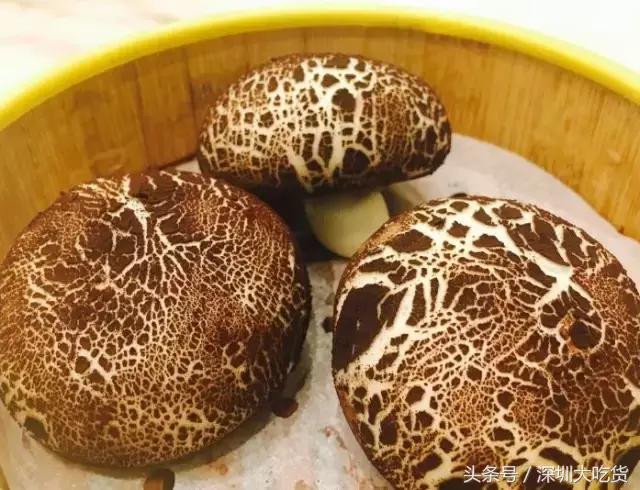 海岸城购物中心美食推荐,吃货不能错过的店