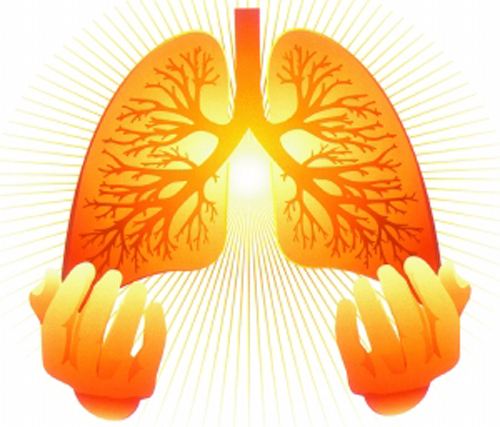 肺癌骨转移的中药治疗方法,肺癌骨转移最快解决方法