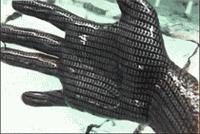 开心时刻——别人家的足底按摩师与我家的……