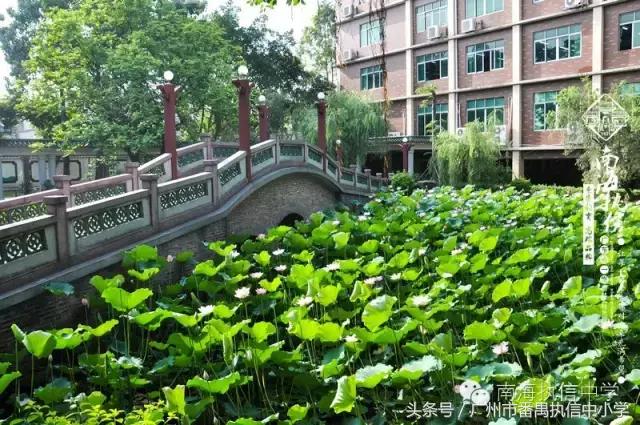 南海执信中学是公立还是私立,南海执信中学联系方式