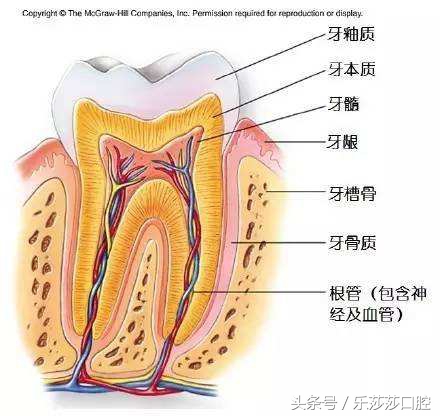 牙齿烂了一个大窟窿可以杀神经吗,牙齿坏了杀神经对身体会有伤害吗