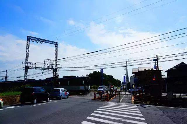 日本奈良看小鹿,日本奈良看小鹿视频