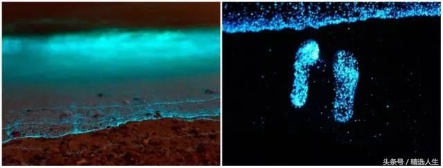 去了好多次海边,去了很多次的沙滩