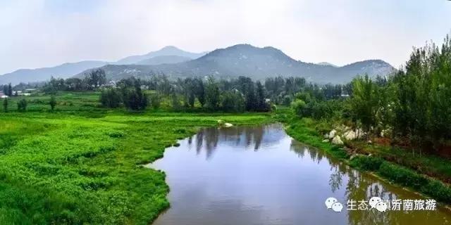 山东沂南秋日花海醉游人,沂南周边看梨花景点