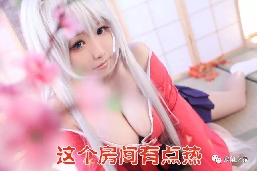 荷兰猪尿垢怎么清洗,荷兰猪尿渍怎么处理