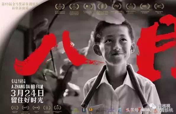 清明陵园交通管制最新,清明墓区交通管制