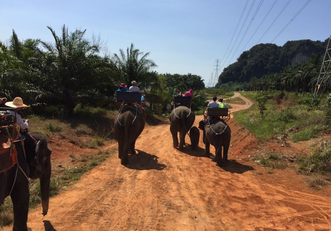 阳光沙滩海浪旅行日记,普吉甲米跟团游游记
