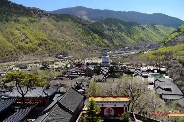 五台山旺季人流量是多少,四月上旬游五台山是旺季吗