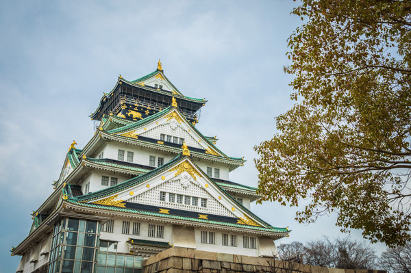 樱花烂漫几多时完整版,日本樱花节赏樱攻略视频大全