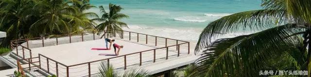 瑜伽服女套装十大品牌,世界十大顶级瑜伽服品牌排行