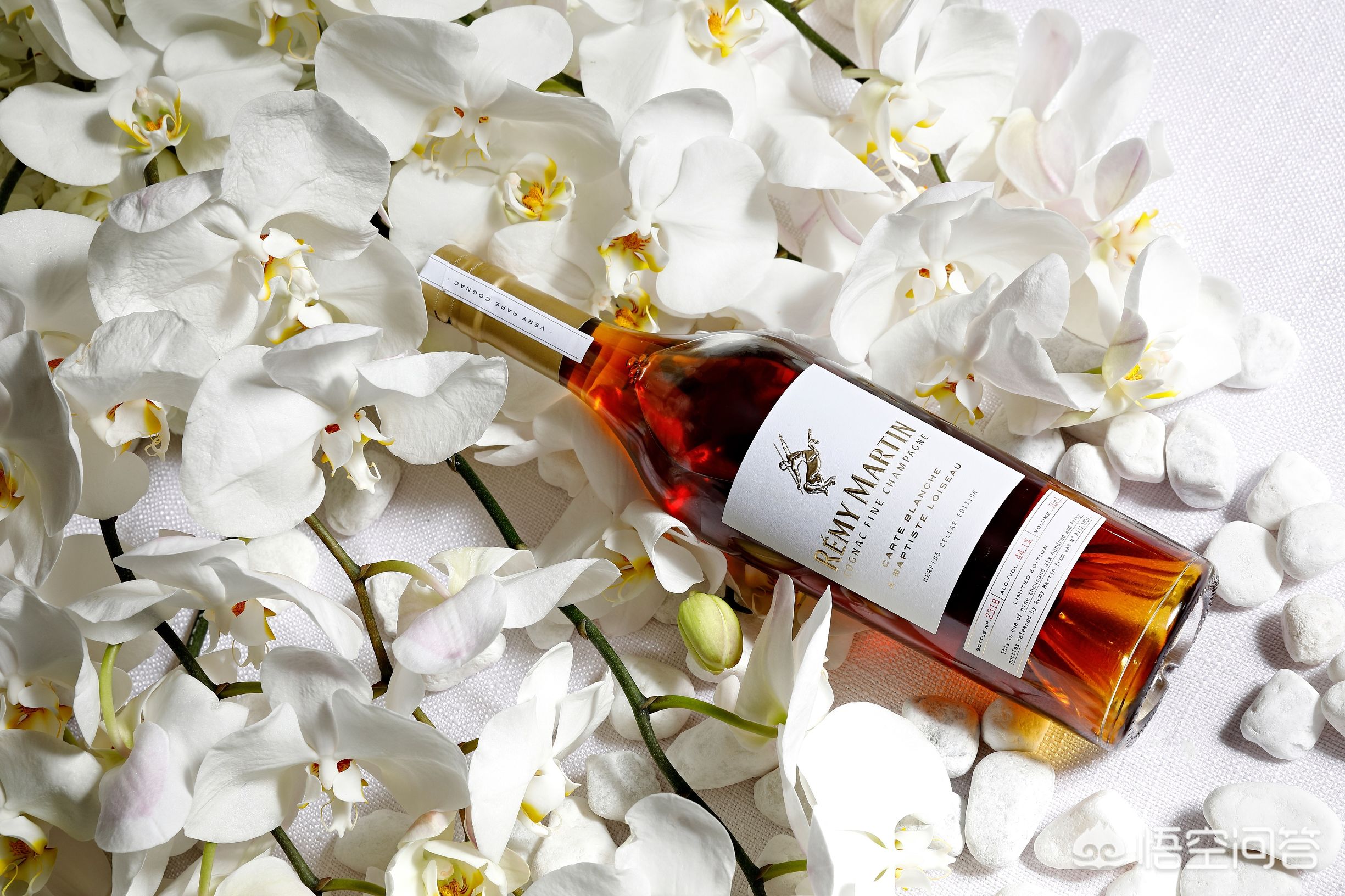 绉﹀矚缇庡緱璁╀汉蹇冮唹,涓夊崄宀佺殑绉﹀矚